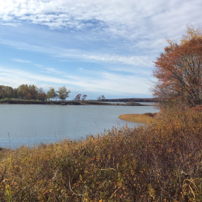 Sunset Point Campground Harrington, ME Campground Reviews